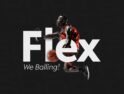 فونت R-Flex