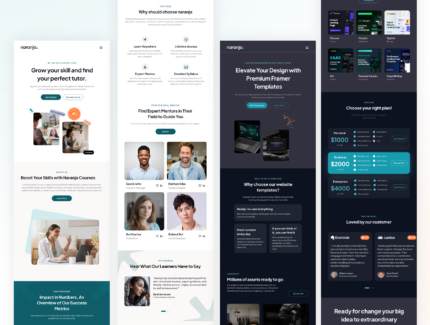 صفحه فرود چندمنظوره کسب‌وکار – Naranja – Multipurpose Business Landing Page