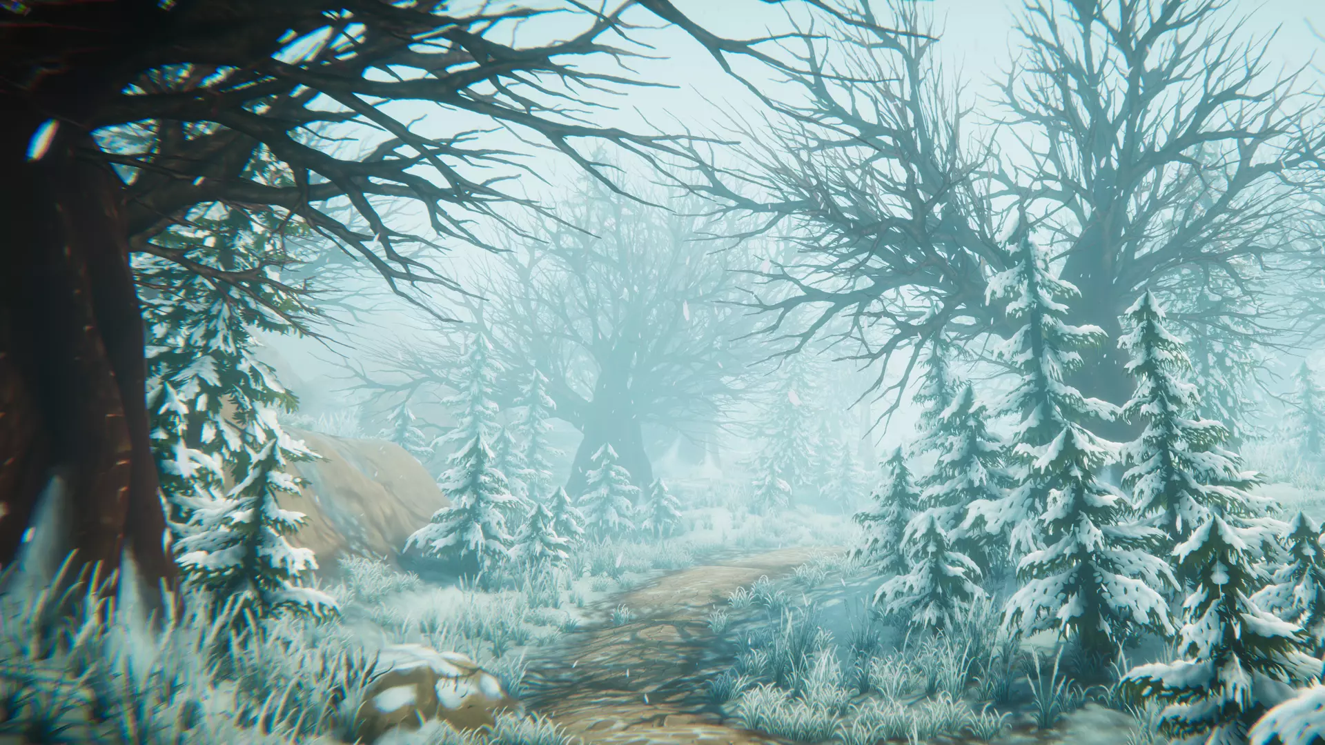 محیط جنگل فانتزیFantasy Forest Environment
