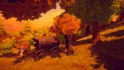 Dreamscape Nature : Campsite – Stylized Open World Environment – سرزمین رؤیا: کمپ طبیعت – محیط استایل‌شده دنیای باز برای یونیتی